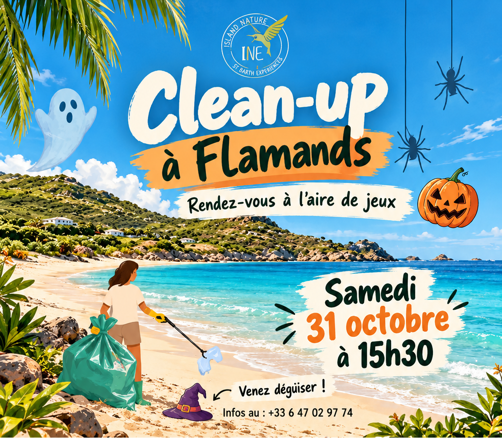 Clean-up à Flamands