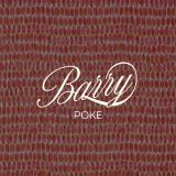 Barry Poke